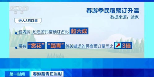 春暖花開時，三大潮流打卡新選擇 花海、民宿與山地戶外運動