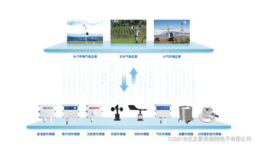 聚英農業氣象環境監測系統 氣體檢測在智慧農業中的核心應用
